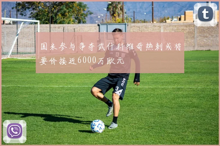 国米参与争夺武什科维奇热刺或将要价接近6000万欧元